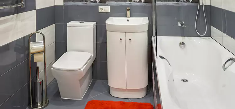 Hansgrohe Shaving Mirror Waco